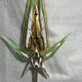 有渐变吗？