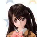 Dollfie Dream Sister DDS 偶像大师 灰姑娘女孩 岛村卯月