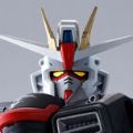 ROBOT魂 ＜机动战士系列＞   ZGMF-X10A 自由高达 GCP版