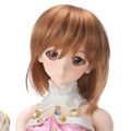 Dollfie Dream Sister DDS 偶像大师 萩原雪歩