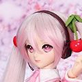 Dollfie Dream DD VOCALOID 樱未来