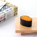 寿司拼装模型 鲑鱼子寿司