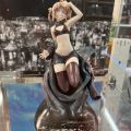 秋叶原实物展示