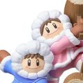 amiibo 任天堂明星大乱斗 特别版 波波&娜娜