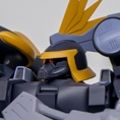 ROBOT魂 ＜机动战士系列＞ 机动战士高达SEED ZGMF-LRR704B 远距离强行侦察双座型金恩 ver. A.N.I.M.E.