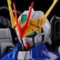 MG 机动战士高达 SEED DESTINY ASTRAY 异端高达非规格机D