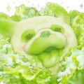 蔬菜精灵 叶菜哈巴