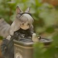 两只猫猫(*/ω＼*)