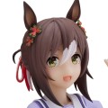 赛马娘 美妙姿势