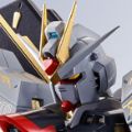 METAL ROBOT魂＜机动战士系列＞  强袭自由高达  SEED20周年纪念版