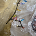 alter芙兰朵露开箱