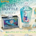 宝可梦 水瓶系列2 难忘的海边回忆