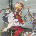 alter 芙兰朵露到货