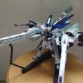 G FRAME FA 流星