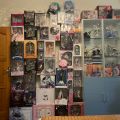 The Wall (墙)