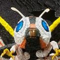 S.H.MonsterArts  哥斯拉大战魔斯拉 魔斯拉（成虫）