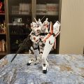 RG独角兽
