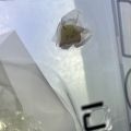 大长腿，很喜欢，没了