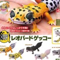 爬行类生物大图鉴 豹纹壁虎