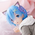 Desktop Cute Re:从零开始的异世界生活 雷姆~猫咪居家服~新装版