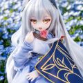 《フェアリーフェンサー》
