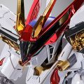 METAL BUILD DRAGON SCALE  龙王丸