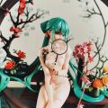 韶华