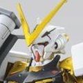HG 机动战士高达SEED ASTRAY 异端高达金色机