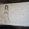 AniGame 大凤