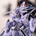 永野护展 GK展出