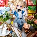 《ラブソング アリス》