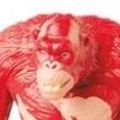 GxK电影院商品 哥斯拉大战金刚2:帝国崛起 刀疤王
