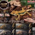 进化生物大图鉴 睫角壁虎 2
