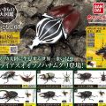 生物大图鉴 甲虫 3