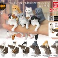 生物大图鉴 卷手指系列 猫