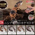 进化生物大图鉴 肥尾壁虎