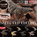 进化生物大图鉴 精选版