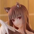 狼与香辛料 merchant meets the wise wolf 温泉乐园（暂译） 赫萝