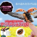 进化生物大图鉴 瓢虫 2