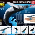 生物大图鉴 迷你系列 鲸鱼