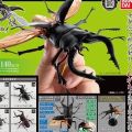 生物大图鉴 锹甲