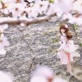 桜満開の神田川&勝沼で撮影してきたよ🌸
