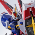 METAL ROBOT魂＜机动战士系列＞   威力型脉冲高达规格二