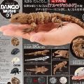 生物大图鉴 鼠妇 7 鼠妇 与 犰狳蜥