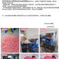 露露姆出荷延期公告！