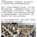 大漫匠魅魅子
