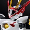 HG Amplified IMGN    龙王丸
