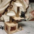 猫奴狂喜