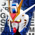 BN HEAD COLLECTION Vol.2 ZGMF-X20A 强袭自由高达