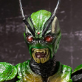 S.H.Figuarts 假面骑士真